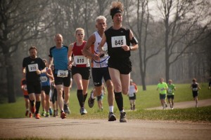 Drents Friese Wold Marathon